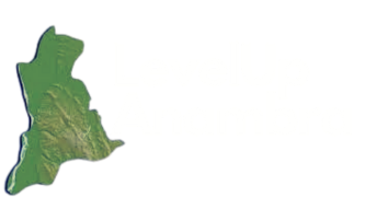 level up anambra logo